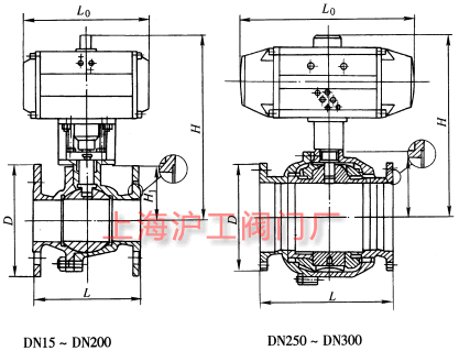 Q641FQ641Y  PN16~PN63 (dng)yҪμY(ji)(gu)ߴʾD